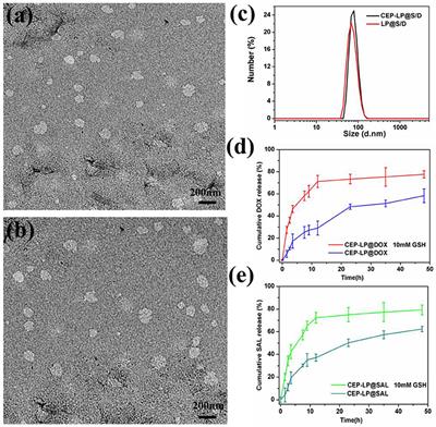 A Novel CD133- and EpCAM-Targeted Liposome With Redox-Responsive Properties Capable of Synergistically Eliminating Liver Cancer Stem Cells